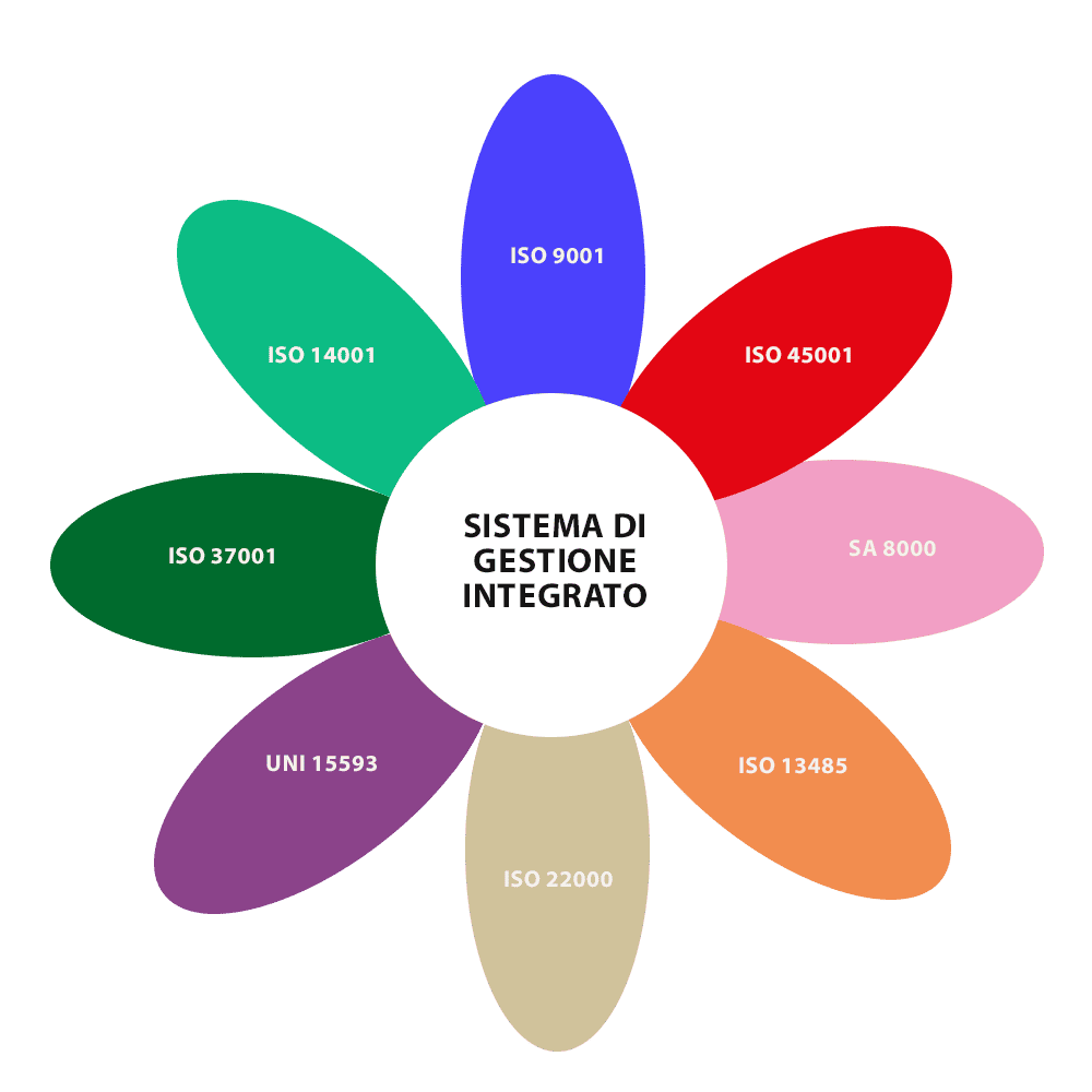 Sistemi di Gestione Integrati