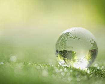 Gestione Ambientale ISO 14001