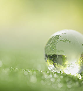 Progettazione di sistemi di gestione per l'ambiente